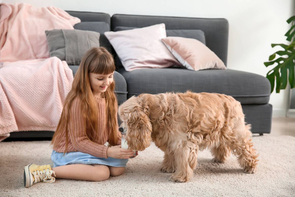 A quality deep cleaning can rid your carpet of stubborn stains, ground-in dirt, and pet accidents, while also eliminating dust, dander and allergens that can impact your home’s indoor air quality.