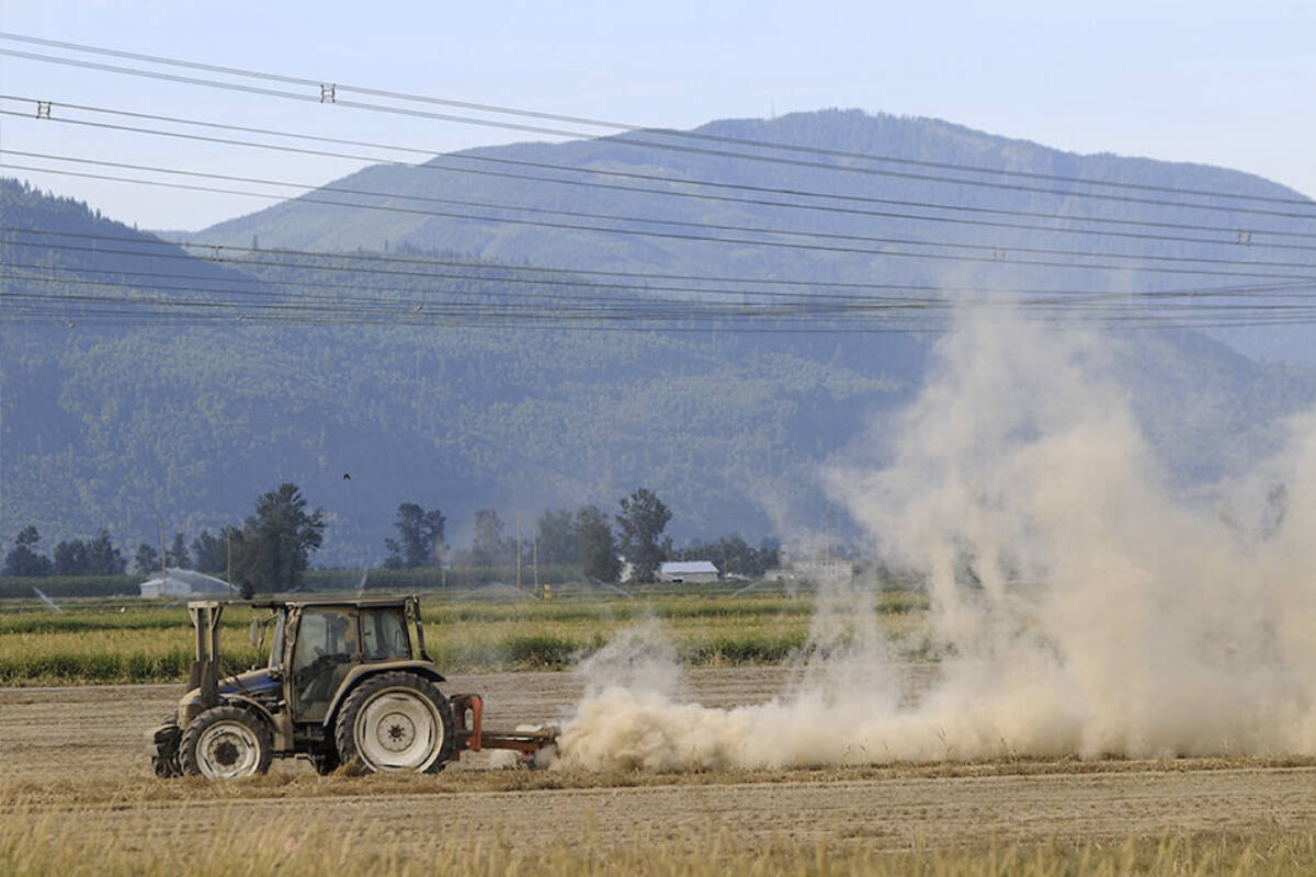 If approved, the Tech District would conduct agricultural research in collaboration with local farmers and producers throughout the Fraser Valley. (Abbotsford News file photo)